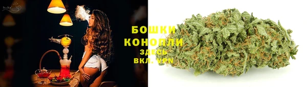 молекула духа Беломорск