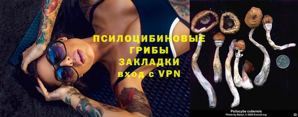 не бодяженный Белокуриха